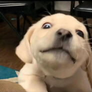 我才打了两梭子你问我