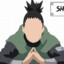 Shikamaru Nara