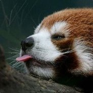 Redpandanify