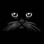 Magessa - steam id 76561198381270162