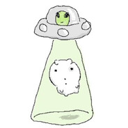 capybara Steam avatar