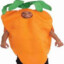 Carrot