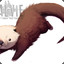ChurroDuckyOtter