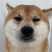 544032752