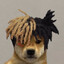Perro Bomba