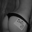 _Disk_Na_DvD_