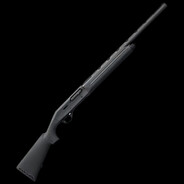 shotgun