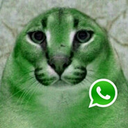 FLOPPA WHATSAPP
