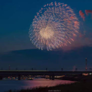 今晚烟花灿烂