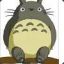 ToToro