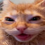 kaymin