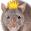 The Rat King