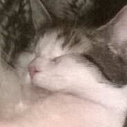 Filemon