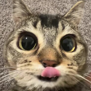 0iq - steam id 76561198258399573