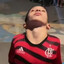 alecrim dourado