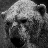 WhiteBear