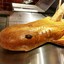 Bread Shark