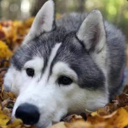 感觉你是真的有点急了