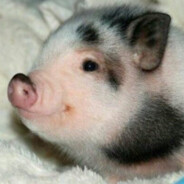 Пивной бочонок