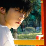 我家鸡会打篮球