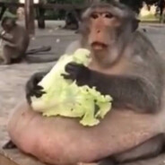 ))))))))))))))))))))))))))