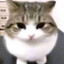 Pizdatik52's avatar