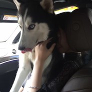 电脑玩家山竹怪