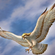 White Eagle