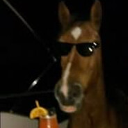 Siggy's avatar