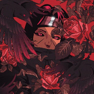 zqk1ng avatar