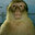 Lord Gerp III