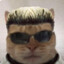 Wisker