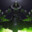 Reaper