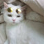 Zhmsleep