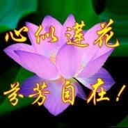 努力练枪法的痞子