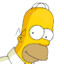 Homer Jay Simpson