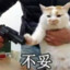 血洗体育台！