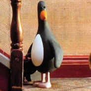 Daniel P O+ 's avatar