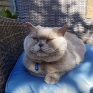 密西西叽里咕噜