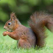 DeadMonster| CSGO-Happy.ru