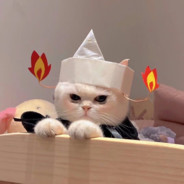 敢动锅给你把头打爆！