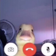 NovaaEU