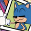 Sonk