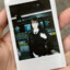 Ninibear-