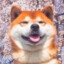 芝士狐狸