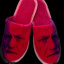 Freudian Slippers