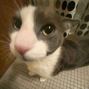 EMOLIENTERO TITULADO CON HONORES