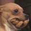 Testicule Gluant