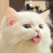 鱼王