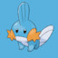 Mudkip